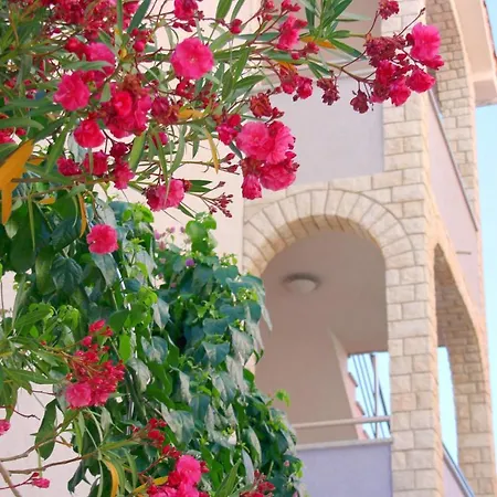 Pejic Апартаменты *