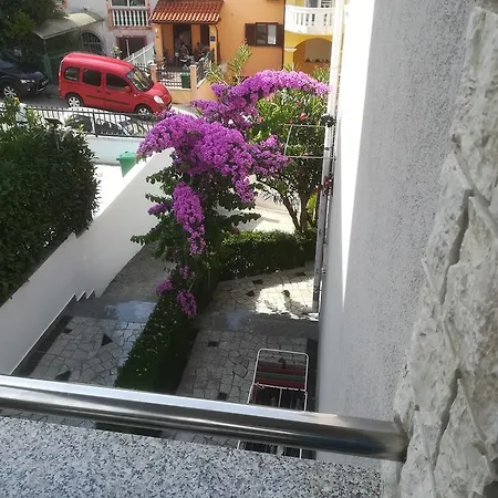 Pejic *