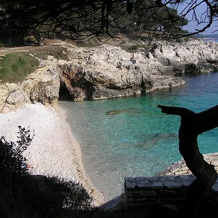 Pejic Appartamento *